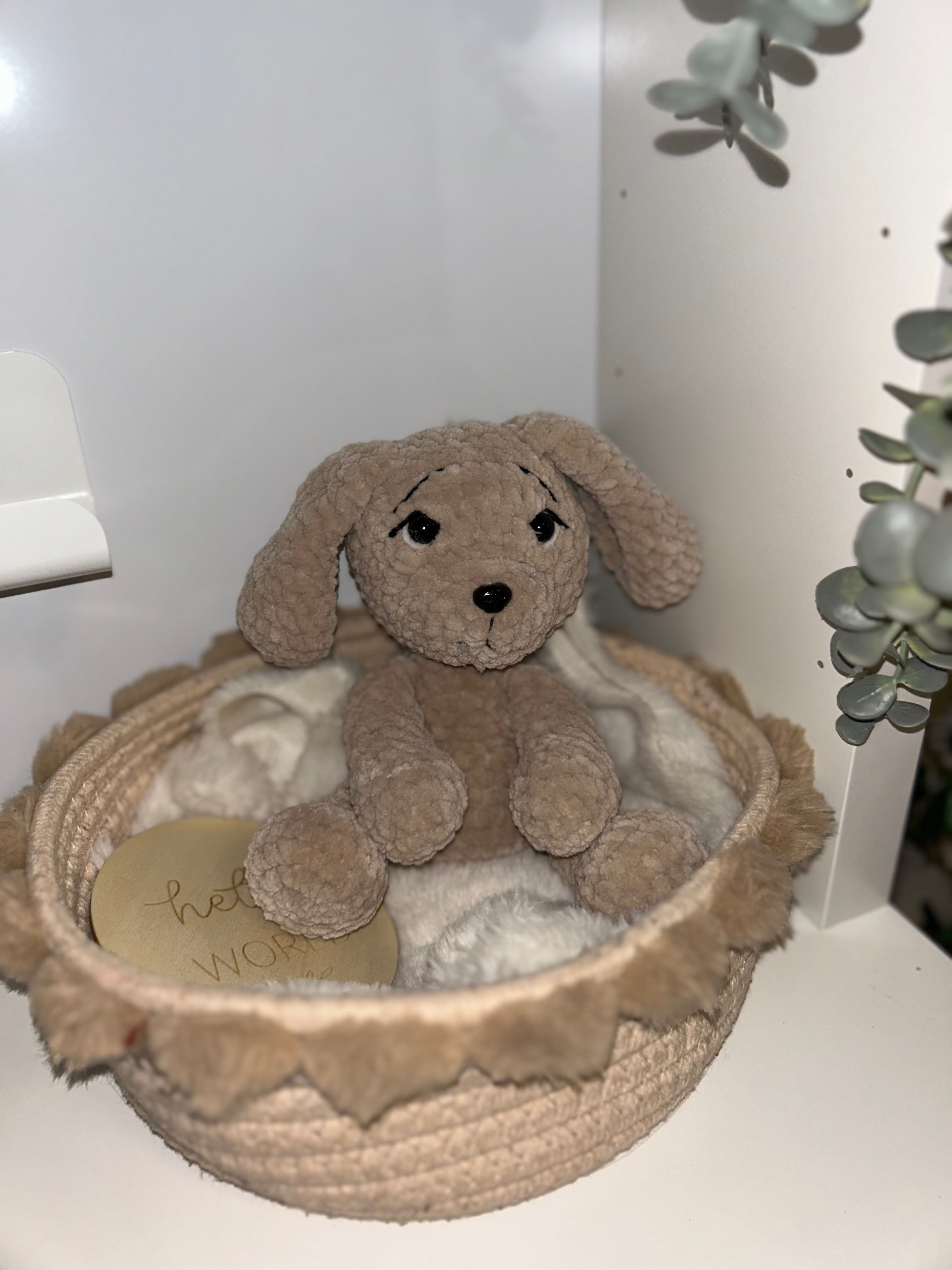 Hunde Welpe 🐶 Cookie 🍪