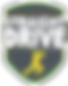 Straight Drive Pure Play Cricket logo with batsman icon