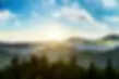 sunny-landscape-with-windmills.webp