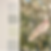 Rectangle 17.png