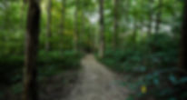 YH8A4401-1600x854.jpeg