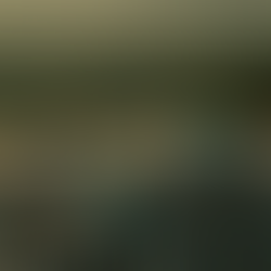 🌎 De la basura al valor: rompiendo mitos y construyendo sostenibilidad real