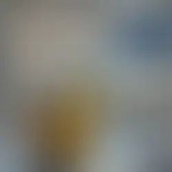 🛠️ Tips clave para nuevos negocios en la gestión de RPBI