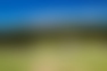 Farish Memorial and Carroll Lakes