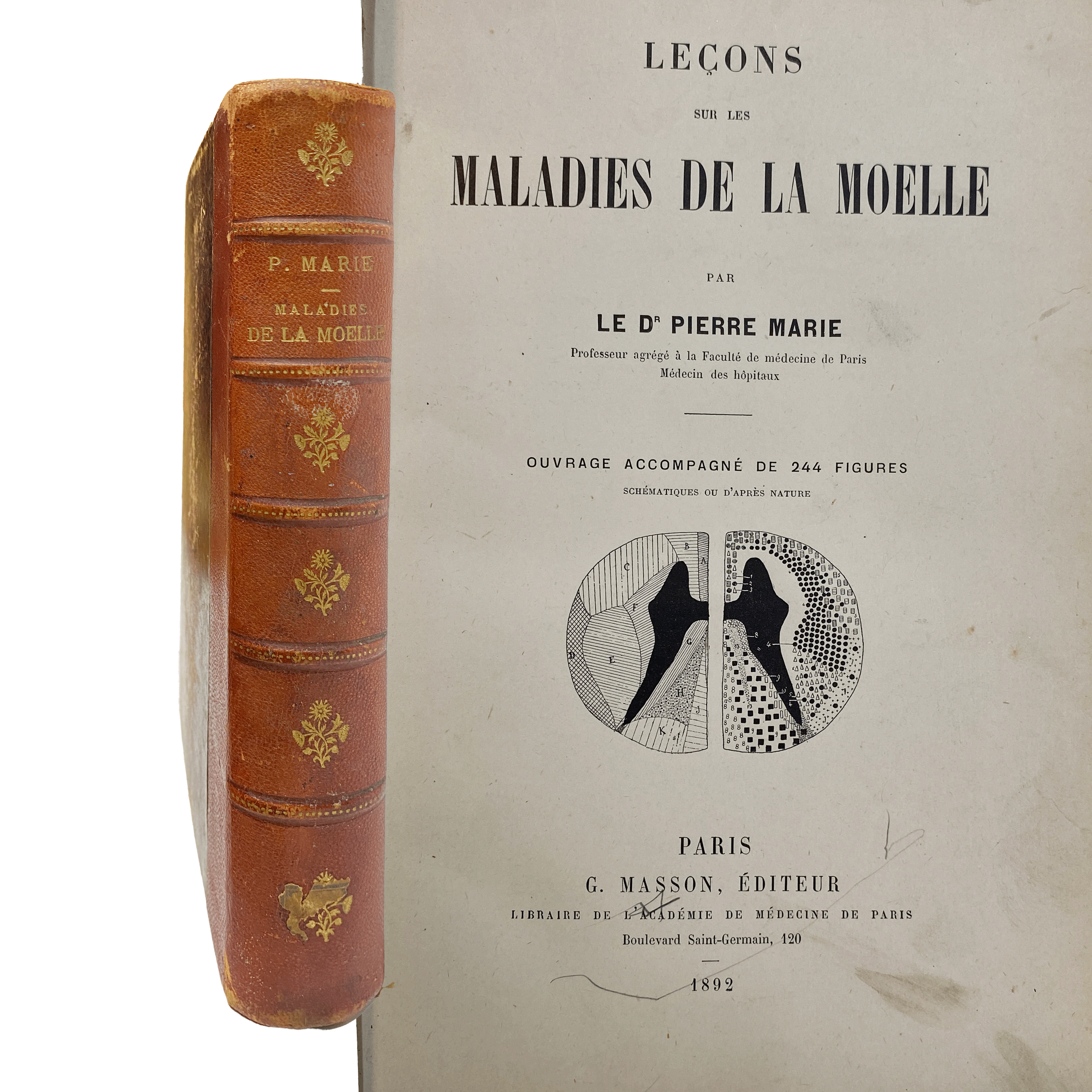 LECONS SUR LES MALADIES DE LA MOELLE PIERRE MARIE