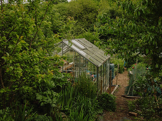 Allotment - Lianne Mellor 19.jpg