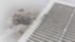 Dust and dirt being accumulated on the air filters