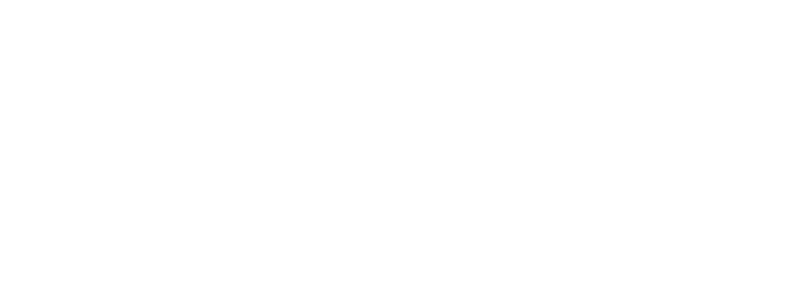 White logo - no background_edited.png