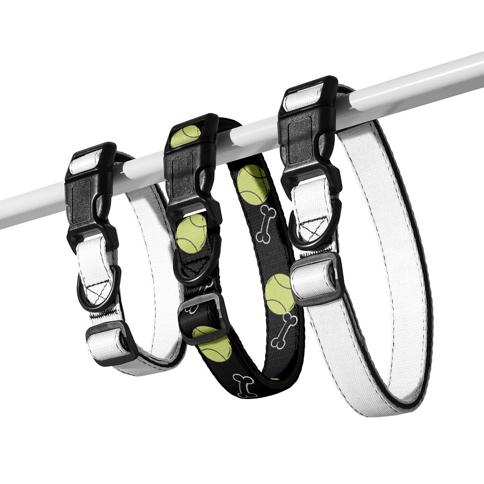 Thumbnail: Bones N' Balls Pet collar