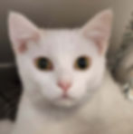 Elsa1.jpg