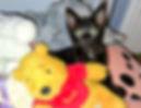 Clarice1.jpg