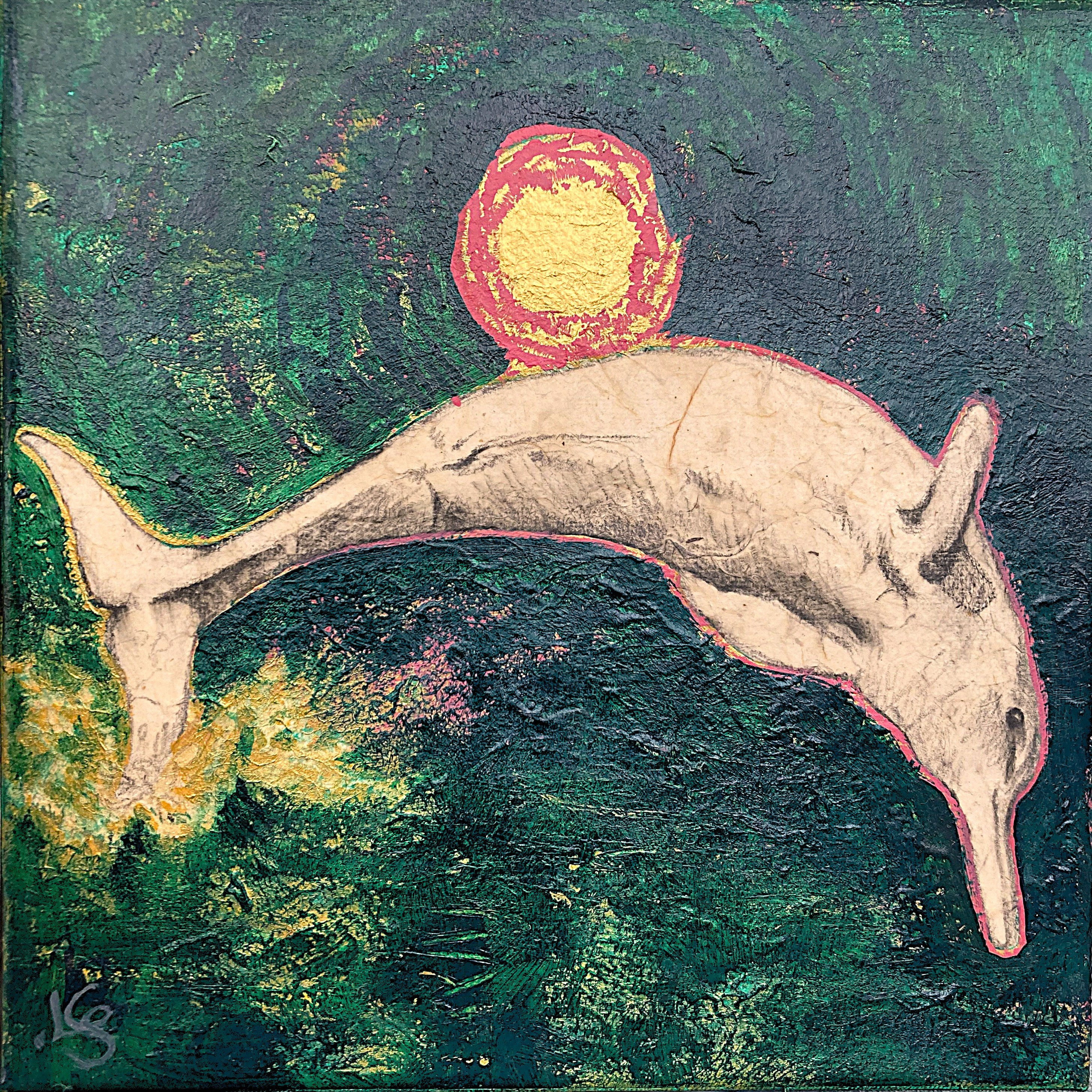 Baiji Dolphin