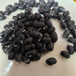 spanish black.jpeg