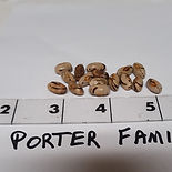 Porter Family_edited.jpg