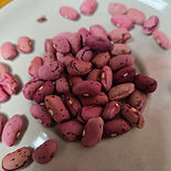 vermont cranberry.jpeg