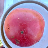 PINK POTATO TOP.jpeg