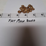 Fatman Buff.jpg