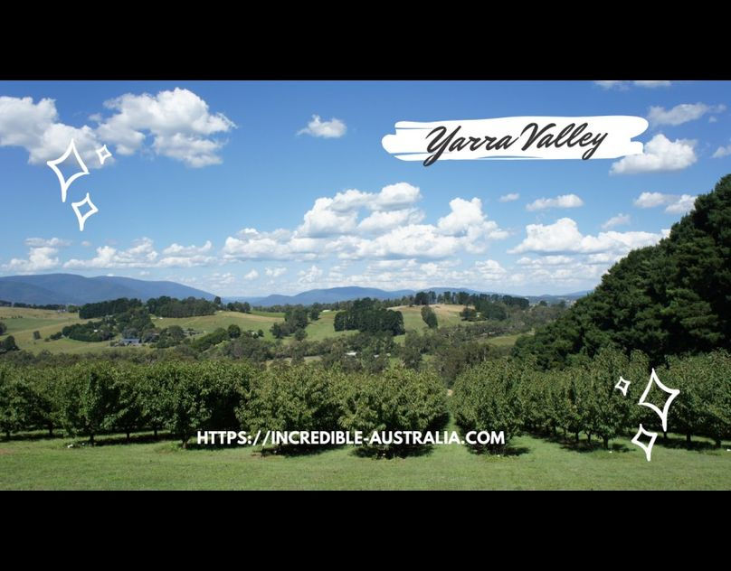 Yarra-Valley (1).jpg