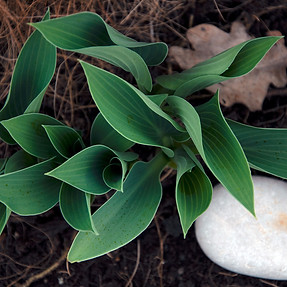 CE92D2BE-E14D-41B0-A3E7-B8676F74572C.jpe