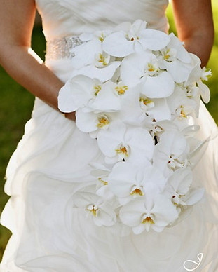 pic_bouquet_105.jpg