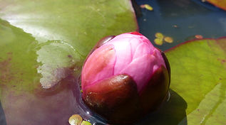 P1000852