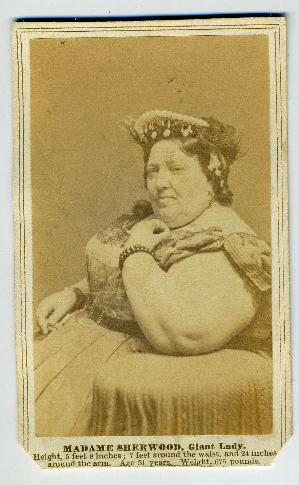 SIDESHOW - MADAME SHERWOOD – GIANT LADY – CDV