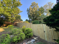 Wooden Privacy