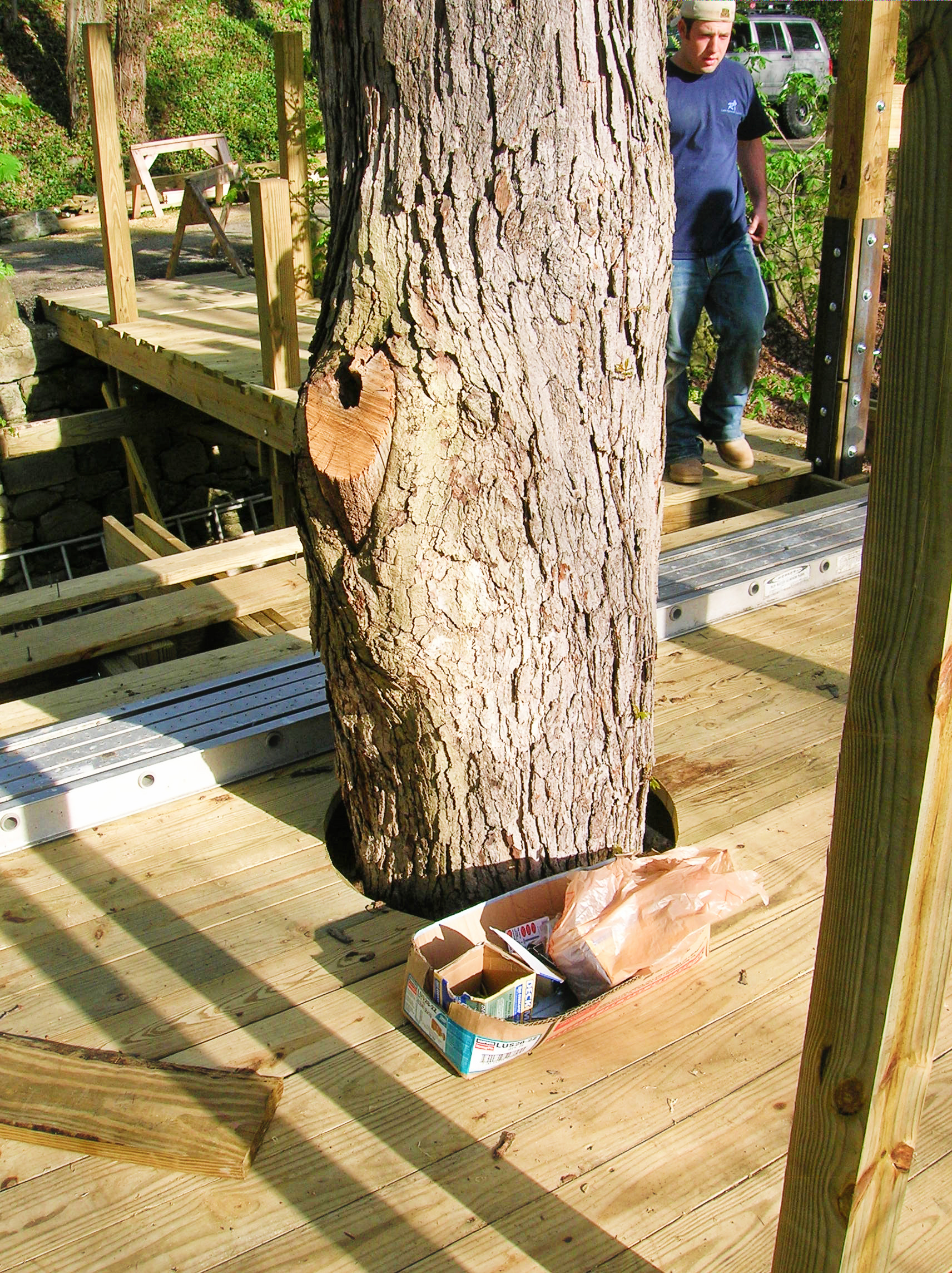 existing tree