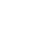 icon8-phone-100.png