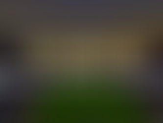 Unlocking Athletic Potential: A Deep Dive into the Six Key Categories of the Human Data Intelligence (HDI) Psychometric Report for Athletes