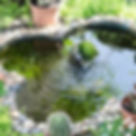 custom pond.png