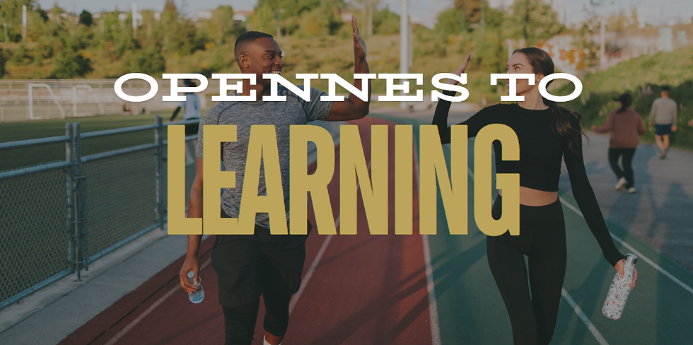 opennes to learning