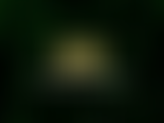 La Importancia de la Validación de Datos en los Deportes Profesionales