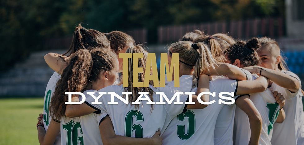 Dinámicas de Equipo