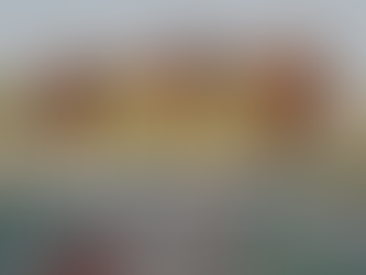 Por Qué un Atleta Debe Trabajar en su Flexibilidad de Intereses y Qué Parámetros en el Campo Puede Impactar