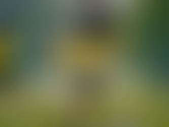 Perché Lavorare su Cultura, Comportamento e Psicologia è Essenziale per i Giovani Atleti che Sognano di Diventare Professionisti