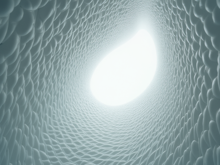 Explore Innovative Designs from Zaakwan Nisbett