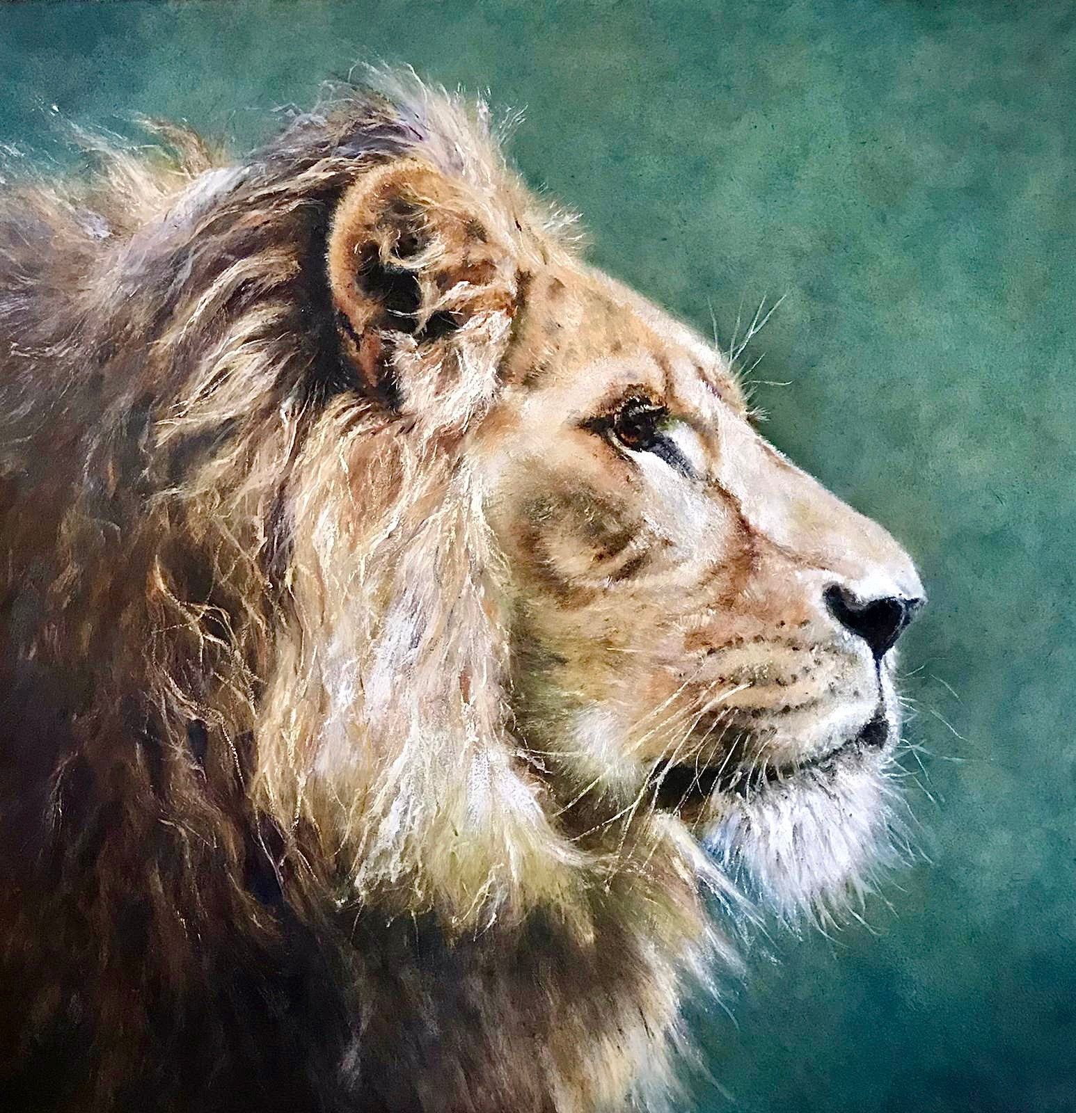 Panthera