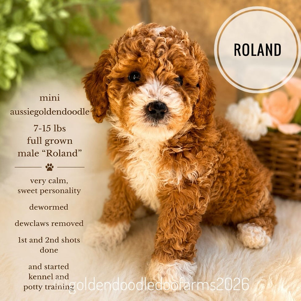Roland