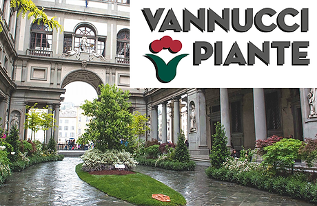 vannucci global DIY partner plants flowers