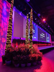 WhatsApp Image 2023-06-15 at 10.29.24 (2).jpeg