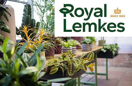 RoyalLemkes-Streep-0426-HR-7uff.jpg
