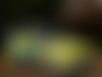 A marked UK police car with bright yellow and blue checkered design is parked on dry grass under a white tent canopy.