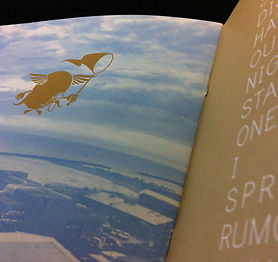 Novelty Book