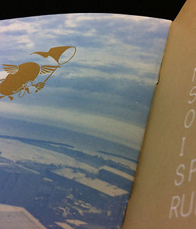 Novelty Book