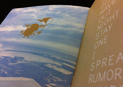 Novelty Book