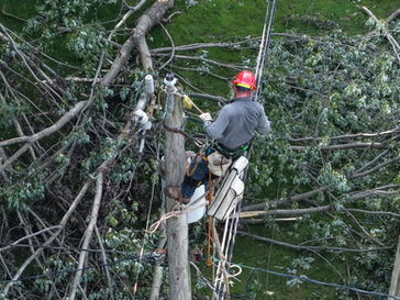 7 Questions Utilities Should Ask Before Choosing a Power Infrastructure Partner