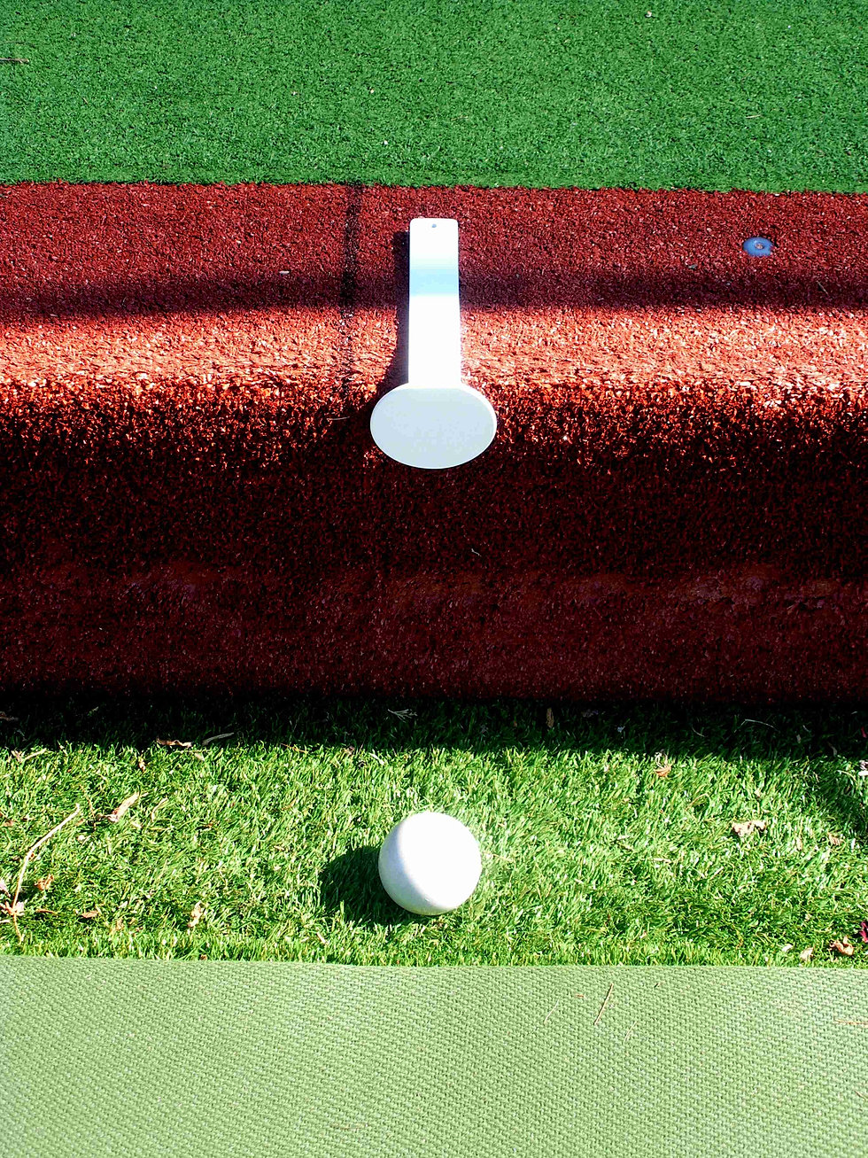 Scoreboards and Bowls Equipment Principle Engineering Services