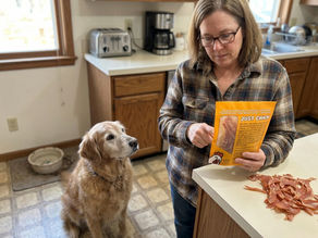 Owner reading dog treat label for senior dog, looking for clean simple ingredients