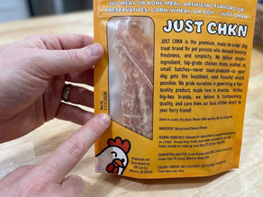 Do Dog Treats Expire? Shelf Life, Signs, and What to Do About It